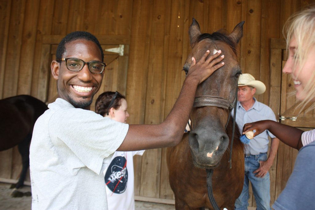 a person touching a horse
