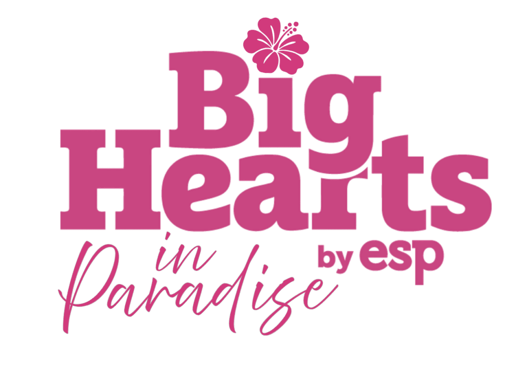 BIG HEARTS BRAND GUIDE 2027 (2)